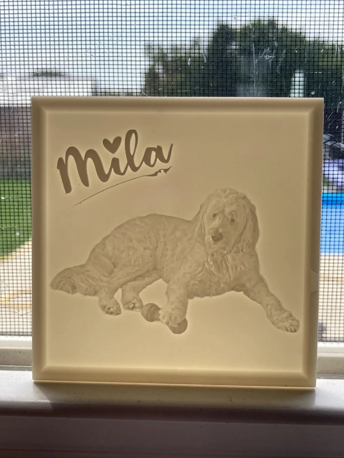 Custom pet memorial lithophane